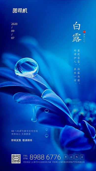 白露节气房产宣传手机海报