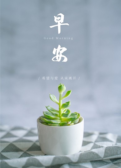 摄影清新文艺早安问候文章配图