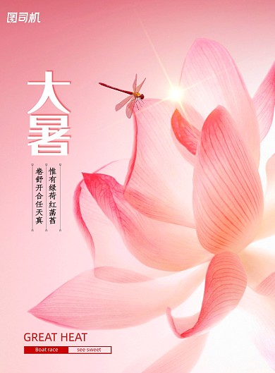 大暑荷花摄影图节气海报