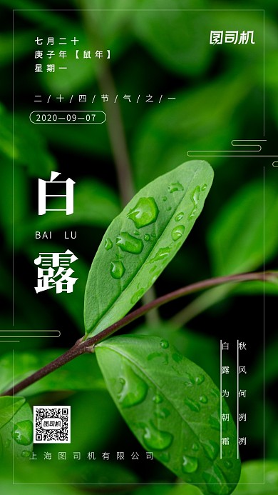 白露节气24节气手机海报
