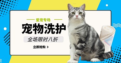 宠物洗护狗粮猫粮淘宝电商横版海报模板