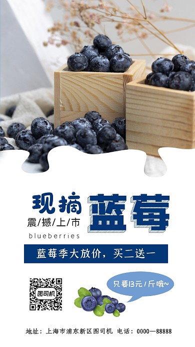 现摘蓝莓水果促销手机配图