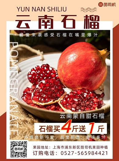 水果石榴促销简约海报