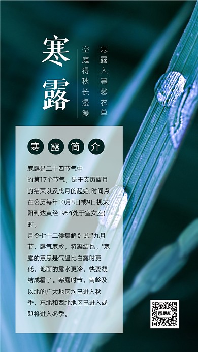 寒露节气简约实景文章配图
