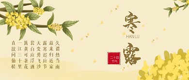 二十四节气之寒露桂花