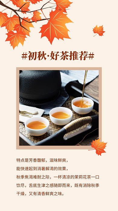 秋季茶叶宣传促销文章配图