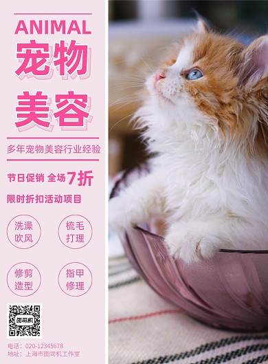 宠物美容简约生活服务印刷海报