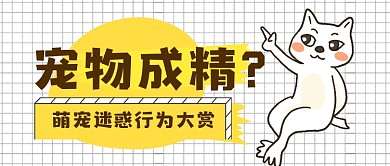 简约可爱萌宠宣传公众号首图
