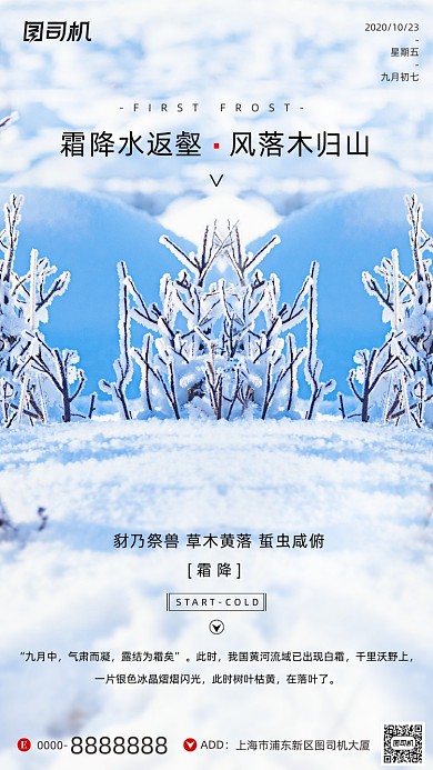 霜降节气摄影图冰霜白色简约手机海报