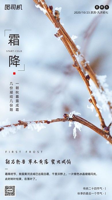 霜降节气摄影图枯枝冰霜简约手机海报