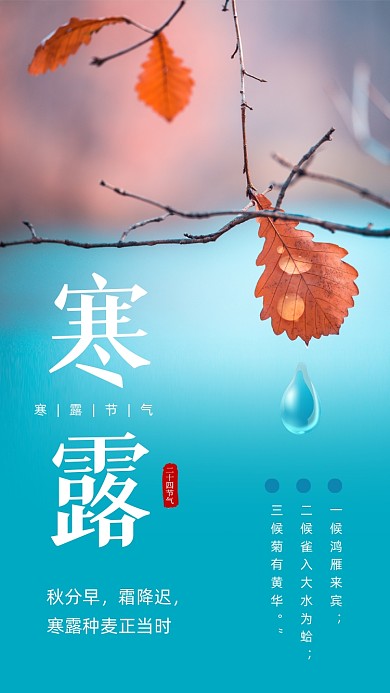 寒露节气简约时尚文章配图