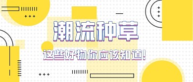 国货种草好物推荐