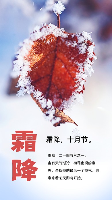 霜降节气简约文章配图