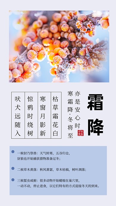 霜降节气简约文章配图