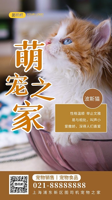 萌宠之家波斯猫营销手机海报