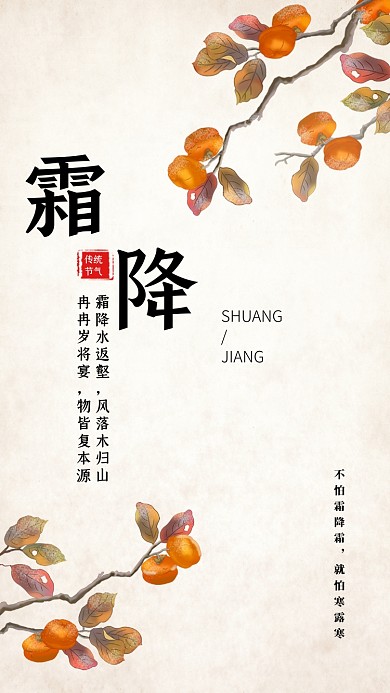 霜降节气小清新柿子文章配图