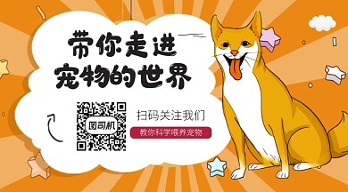 橙色卡通宠物喂养关注二维码