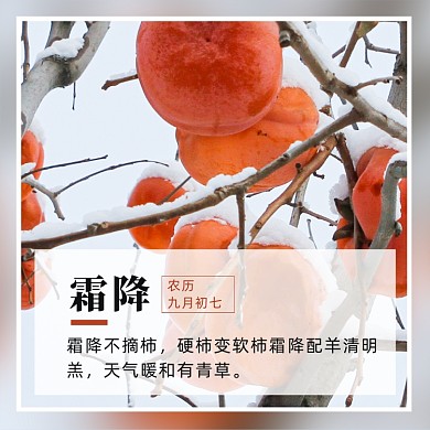 图文简约24节气之霜降方形配图