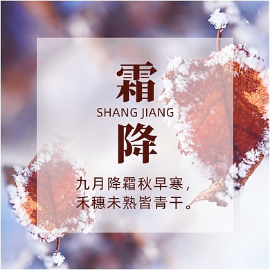 图文简约24节气之霜降方形配图