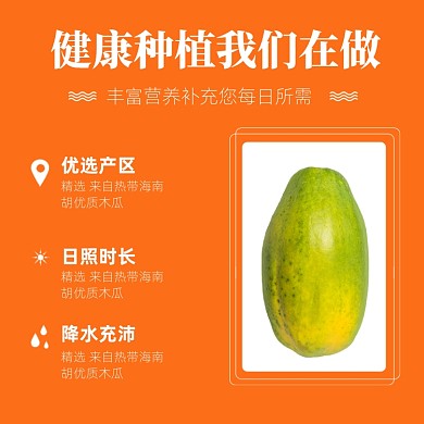 木瓜水果种植果园电商淘宝主图直通车