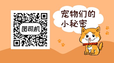 橙色卡通宠物喂养秘密关注二维码