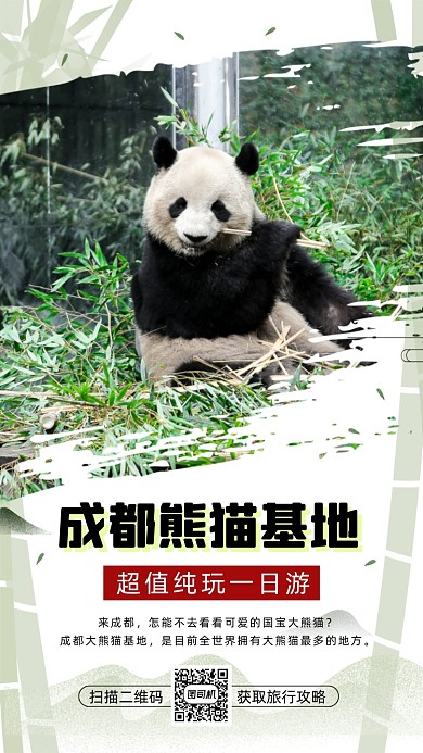 成都大熊猫旅游清新简约宣传手机海报
