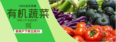 生鲜蔬菜电商全屏海报