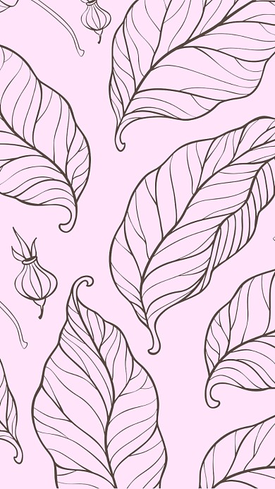 叶子线条清新手机壁纸
