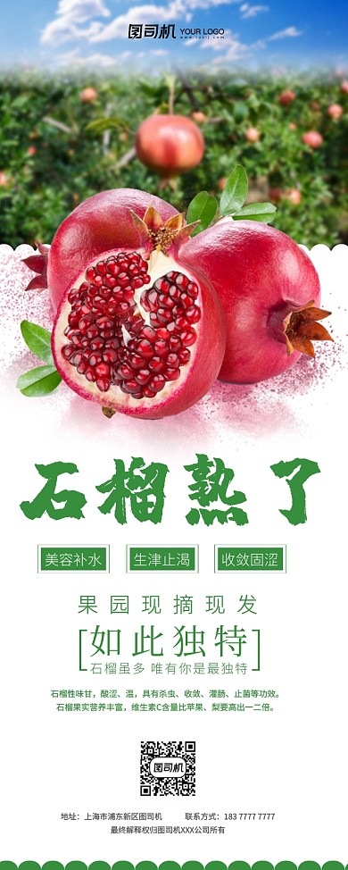 新鲜石榴熟了简约清新易拉宝