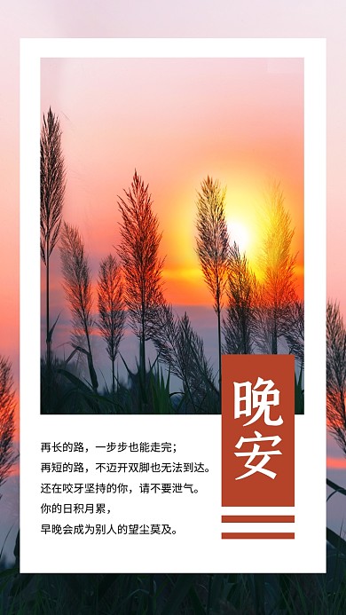 简约实景晚安好梦文章配图