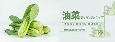 油菜青菜蔬菜生鲜电商全屏海报