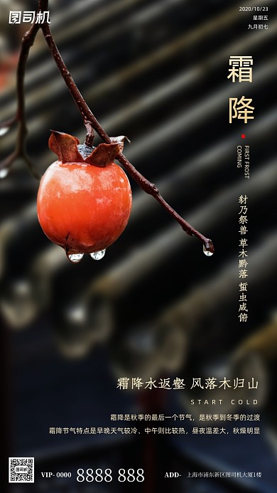 霜降节气摄影图柿子简约清新手机海报