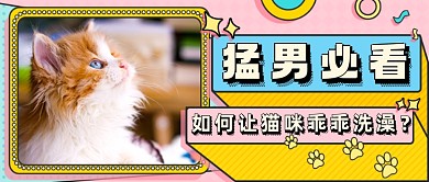 扁平撞色宠物技巧新媒体首图