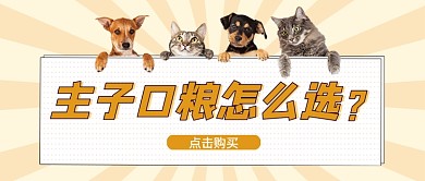 主子口粮怎么选萌宠用品可爱创意首图