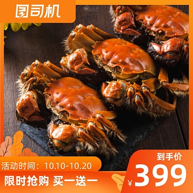 简约风格淘宝天猫大闸蟹螃蟹海鲜主图