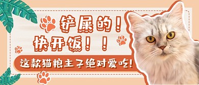 黄色写实萌宠猫粮推荐新媒体首图