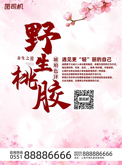 美容粉色中国风传统野生桃胶海报