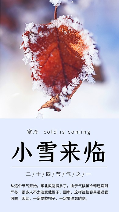 小雪传统节气红色简约文章配图