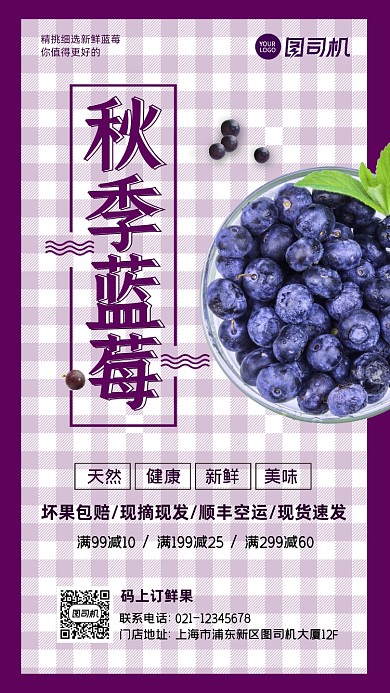 秋季蓝莓水果简约扁平手机海报