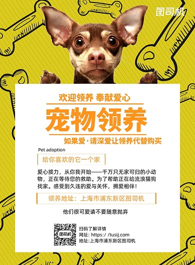 宠物领养黄色简约宣传海报