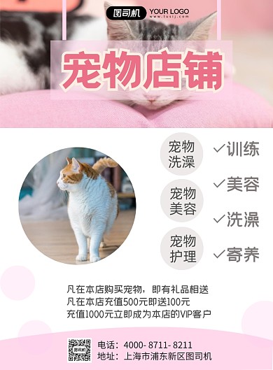 宠物店粉色简约摄影图宣传海报