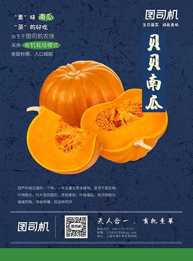 贝贝南瓜蓝色实景促销印刷海报
