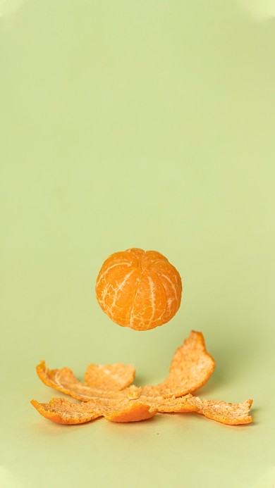 趣味橘子创意手机壁纸