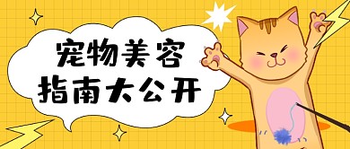 宠物美容指南插画公众号首图