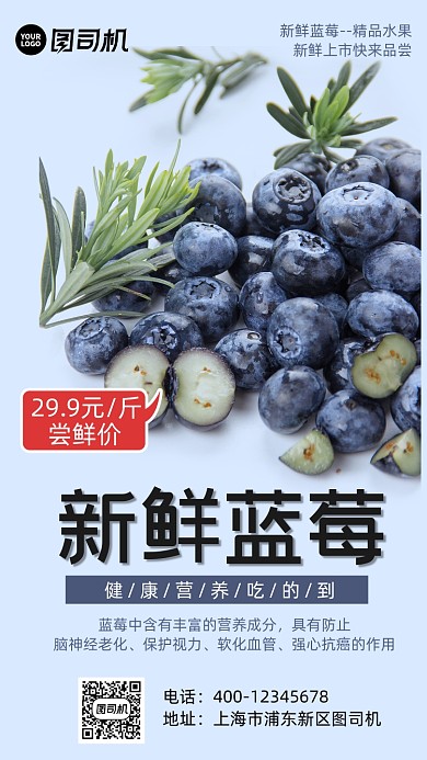 蓝莓水果营销手机海报