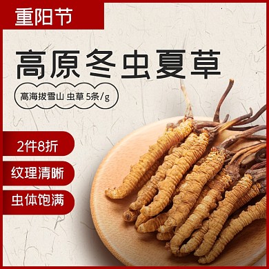 重阳节主图滋补保健品电商主图