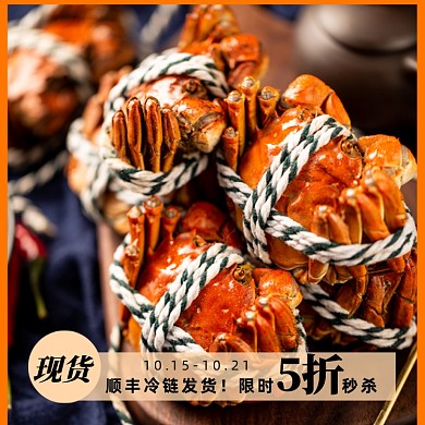 大闸蟹主图图标直通车