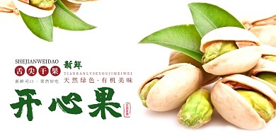 新鲜开心果白色背景展板