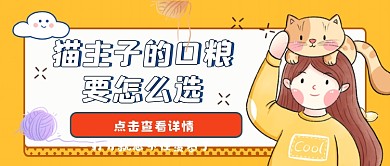 猫咪口粮怎么选首图卡通黄色