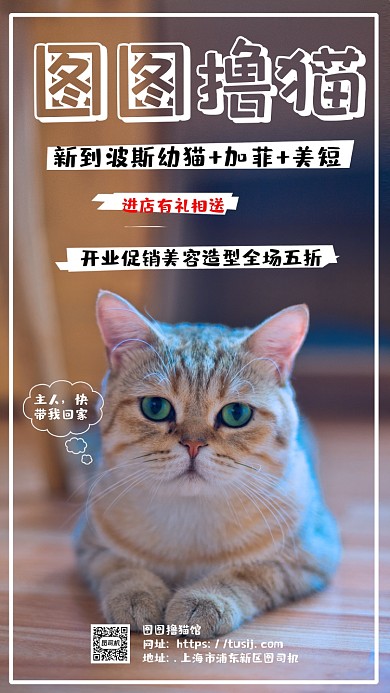 撸猫大气时尚简约手机海报